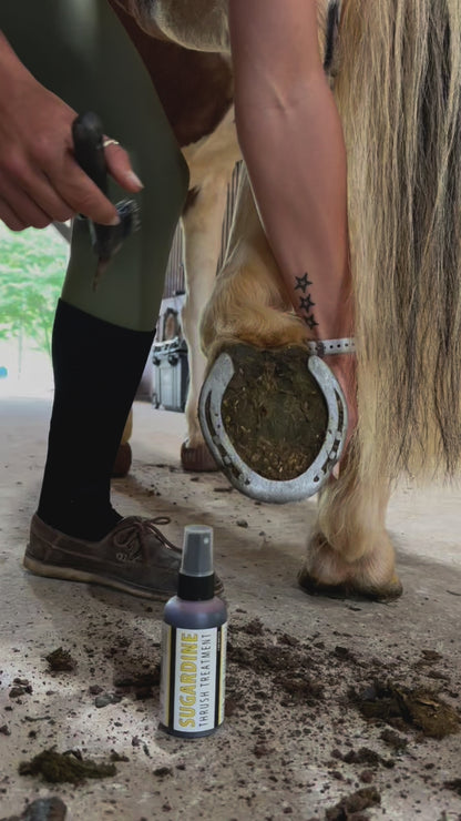 Sugardine Thrush Treatment